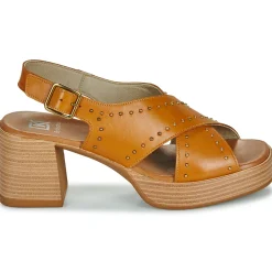 New Dorking - DIAMOND Camel