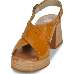 New Dorking - DIAMOND Camel