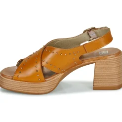 New Dorking - DIAMOND Camel