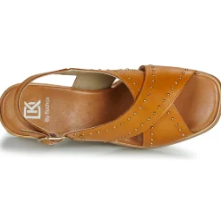 New Dorking - DIAMOND Camel