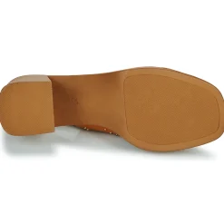 New Dorking - DIAMOND Camel