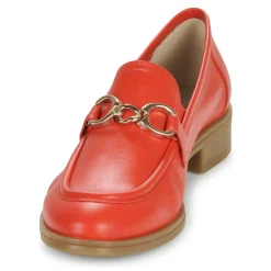 Dorking - HARVARD Rouge