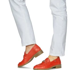 Dorking - HARVARD Rouge