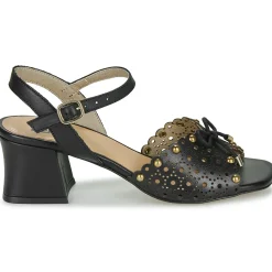 Discount Dorking - LARUS Noir