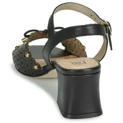 Discount Dorking - LARUS Noir