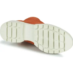 Hot Dorking - NIDUS Orange