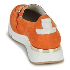 Hot Dorking - SERENA Orange