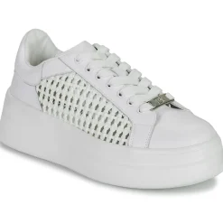 Clearance Dorking - SWIFT Blanc