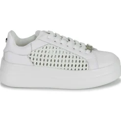 Clearance Dorking - SWIFT Blanc