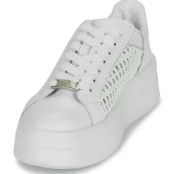 Clearance Dorking - SWIFT Blanc