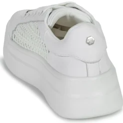 Clearance Dorking - SWIFT Blanc