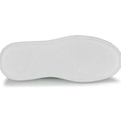 Clearance Dorking - SWIFT Blanc