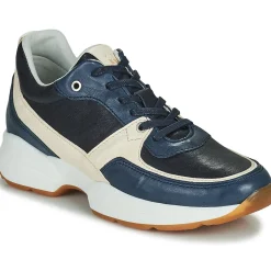 Hot Dream in Green - AGAPANTHE Multico-bleu