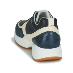 Hot Dream in Green - AGAPANTHE Multico-bleu