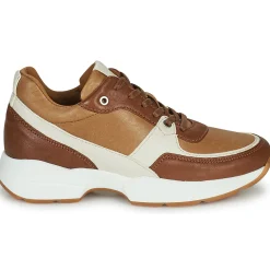 Hot Dream in Green - AGAPANTHE Multico-beige