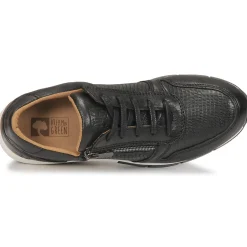 Hot Dream in Green - ARTEMISIA Noir