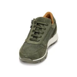 Best Dream in Green - ARTEMISIA Kaki