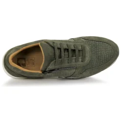 Best Dream in Green - ARTEMISIA Kaki