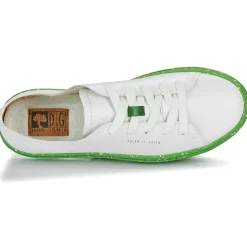 New Dream in Green - JOBI blanc