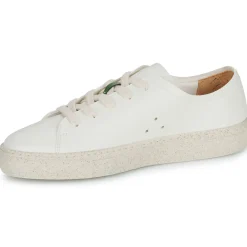 Discount Dream in Green - JOBI Beige