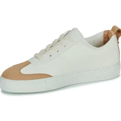 Hot Dream in Green - JOBIA Beige