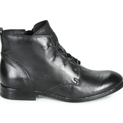 Dream in Green - LAMPEDI Noir