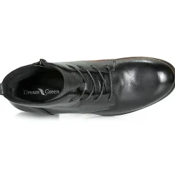 Dream in Green - LAMPEDI Noir