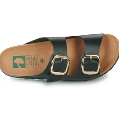 Discount Dream in Green - MILETTE Noir