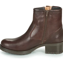 Best Dream in Green - NETISE Marron