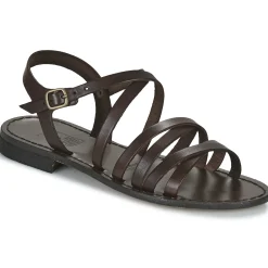 Best Dream in Green - OBALINE Marron