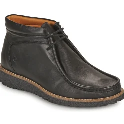 Hot Dream in Green - OPHINA Noir