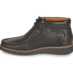 Hot Dream in Green - OPHINA Noir