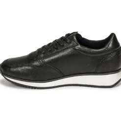 Sale Dream in Green - PORTOVECCHIO Noir