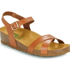 New Dream in Green - TSILI camel