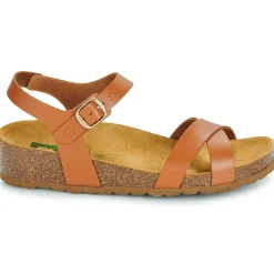 New Dream in Green - TSILI camel