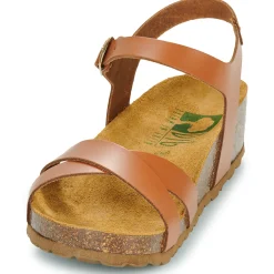 New Dream in Green - TSILI camel