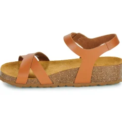 New Dream in Green - TSILI camel