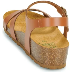 New Dream in Green - TSILI camel