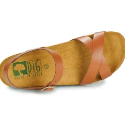 New Dream in Green - TSILI camel