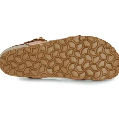 New Dream in Green - TSILI camel