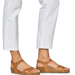 New Dream in Green - TSILI camel