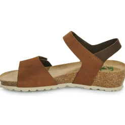 Dream in Green - ZAMINI marron