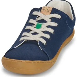 Online Dream in Green - ZAPHIRI Marine