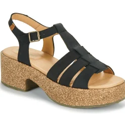 Hot El Naturalista - ARBEQUINA Noir