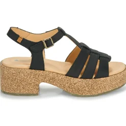 Hot El Naturalista - ARBEQUINA Noir