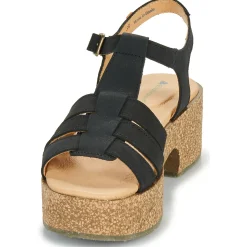 Hot El Naturalista - ARBEQUINA Noir