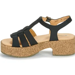 Hot El Naturalista - ARBEQUINA Noir