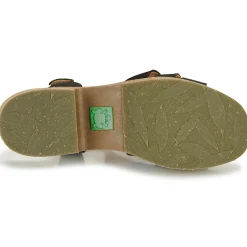 Hot El Naturalista - ARBEQUINA Noir