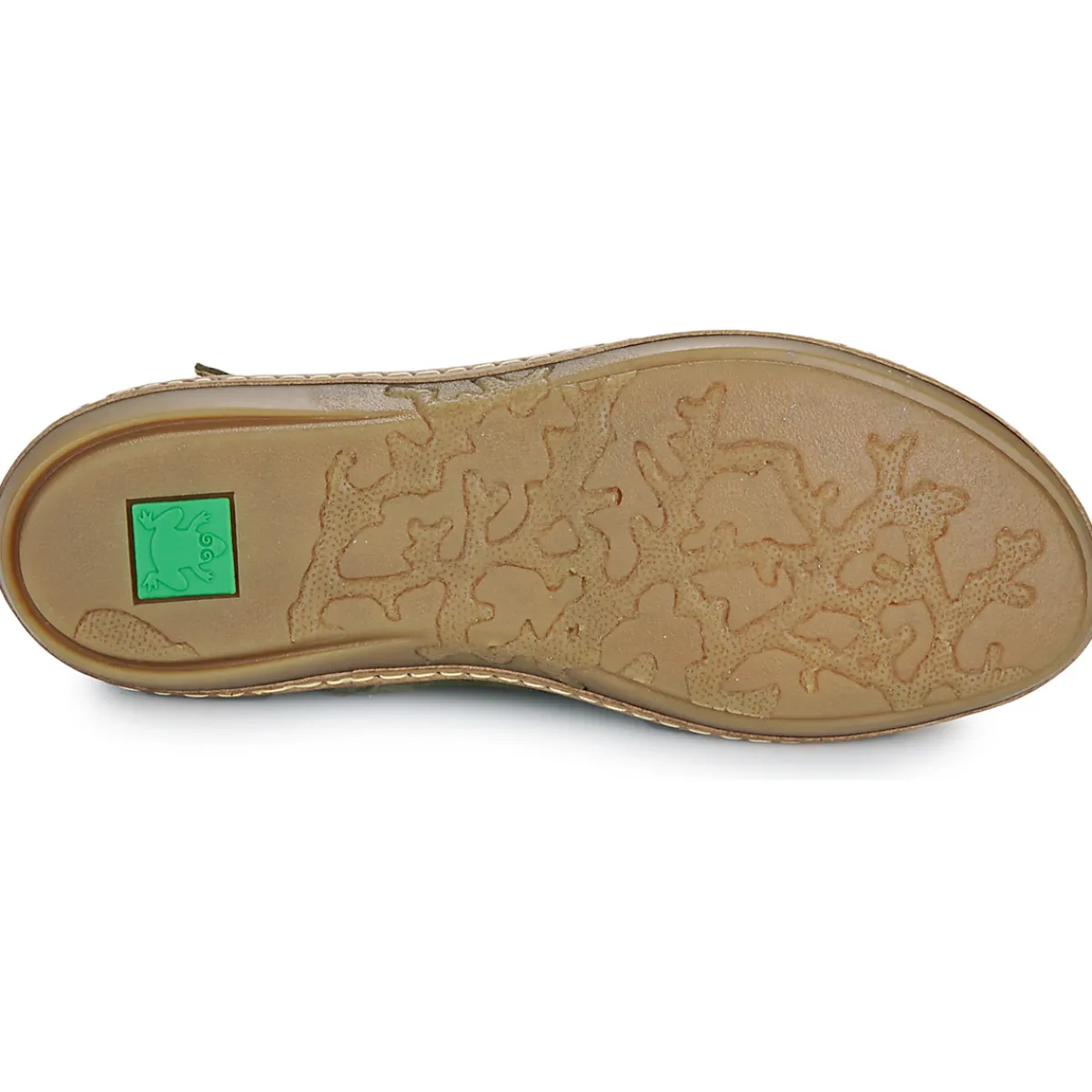 El Naturalista - CORAL 5349 Kaki