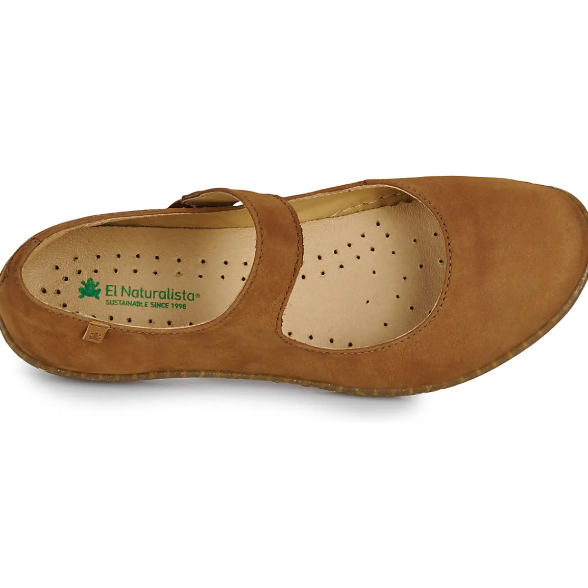 El Naturalista - CORAL N5301 Marron